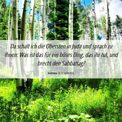 Picture 06 - Nehemia 13:17 LUTH1912 - Da schalt ich die Obersten in Juda und sprach zu - Bible Verse Picture