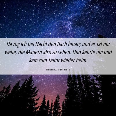 Picture 06 - Nehemia 2:15 LUTH1912 - Da zog ich bei Nacht den Bach hinan; und es tat - Bible Verse Picture