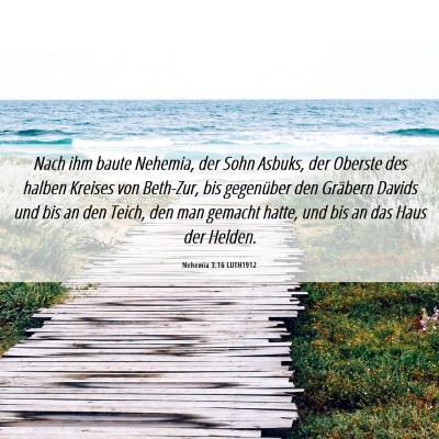 Picture 06 - Nehemia 3:16 LUTH1912 - Nach ihm baute Nehemia, der Sohn Asbuks, der - Bible Verse Picture