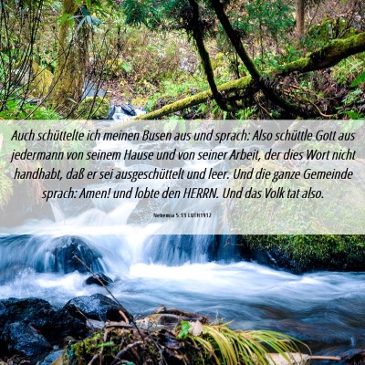 Picture 06 - Nehemia 5:13 LUTH1912 - Auch schüttelte ich meinen Busen aus und sprach: - Bible Verse Picture