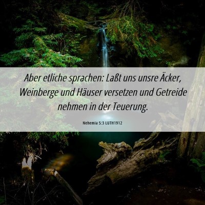 Picture 06 - Nehemia 5:3 LUTH1912 - Aber etliche sprachen: Laßt uns unsre Äcker, - Bible Verse Picture