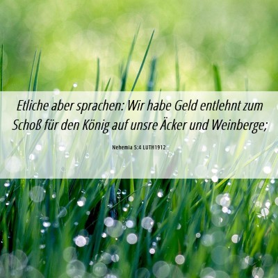 Picture 06 - Nehemia 5:4 LUTH1912 - Etliche aber sprachen: Wir habe Geld entlehnt zum - Bible Verse Picture