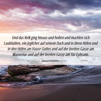 Picture 06 - Nehemia 8:16 LUTH1912 - Und das Volk ging hinaus und holten und machten - Bible Verse Picture