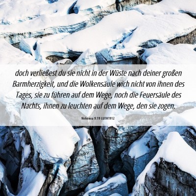 Picture 06 - Nehemia 9:19 LUTH1912 - doch verließest du sie nicht in der Wüste nach - Bible Verse Picture