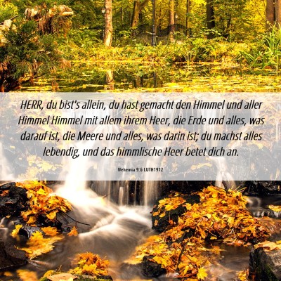 Picture 06 - Nehemia 9:6 LUTH1912 - HERR, du bist's allein, du hast gemacht den - Bible Verse Picture