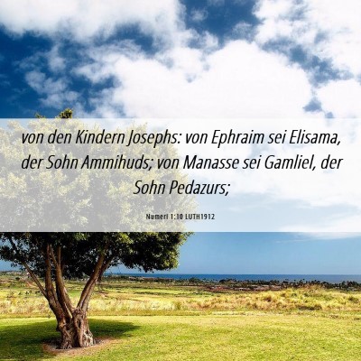 Picture 06 - Numeri 1:10 LUTH1912 - von den Kindern Josephs: von Ephraim sei Elisama, - Bible Verse Picture