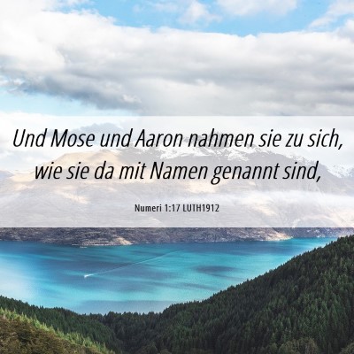 Picture 06 - Numeri 1:17 LUTH1912 - Und Mose und Aaron nahmen sie zu sich, wie sie da - Bible Verse Picture