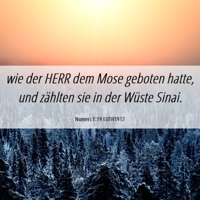 Picture 06 - Numeri 1:19 LUTH1912 - wie der HERR dem Mose geboten hatte, und zählten - Bible Verse Picture