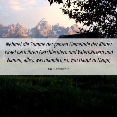 Picture 06 - Numeri 1:2 LUTH1912 - Nehmet die Summe der ganzen Gemeinde der Kinder - Bible Verse Picture