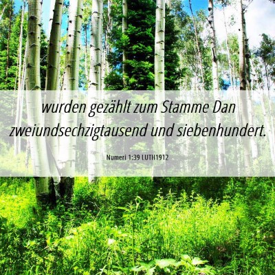 Picture 06 - Numeri 1:39 LUTH1912 - wurden gezählt zum Stamme Dan - Bible Verse Picture