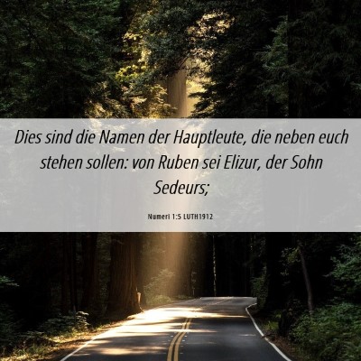 Picture 06 - Numeri 1:5 LUTH1912 - Dies sind die Namen der Hauptleute, die neben - Bible Verse Picture