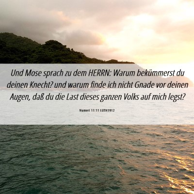 Picture 06 - Numeri 11:11 LUTH1912 - Und Mose sprach zu dem HERRN: Warum bekümmerst - Bible Verse Picture