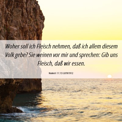 Picture 06 - Numeri 11:13 LUTH1912 - Woher soll ich Fleisch nehmen, daß ich allem - Bible Verse Picture