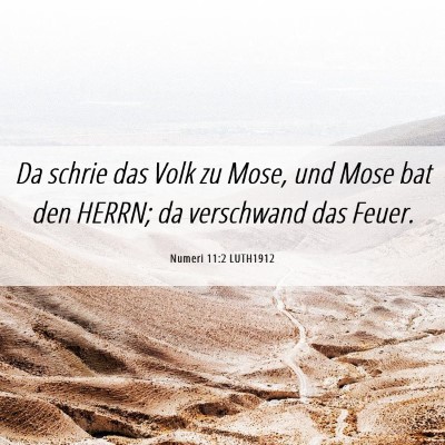 Picture 06 - Numeri 11:2 LUTH1912 - Da schrie das Volk zu Mose, und Mose bat den - Bible Verse Picture