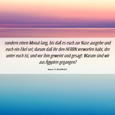 Picture 06 - Numeri 11:20 LUTH1912 - sondern einen Monat lang, bis daß es euch zur - Bible Verse Picture