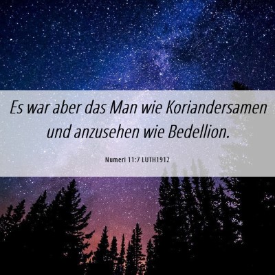 Picture 06 - Numeri 11:7 LUTH1912 - Es war aber das Man wie Koriandersamen und - Bible Verse Picture
