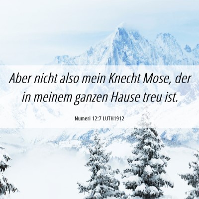 Picture 06 - Numeri 12:7 LUTH1912 - Aber nicht also mein Knecht Mose, der in meinem - Bible Verse Picture
