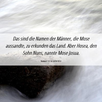 Picture 06 - Numeri 13:16 LUTH1912 - Das sind die Namen der Männer, die Mose - Bible Verse Picture