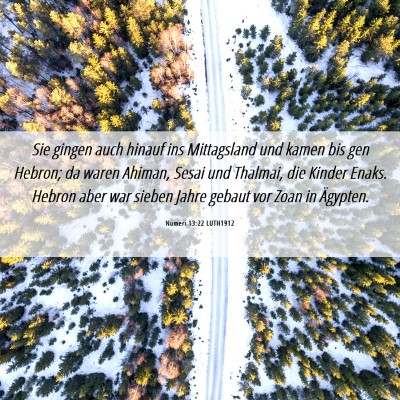 Picture 06 - Numeri 13:22 LUTH1912 - Sie gingen auch hinauf ins Mittagsland und kamen - Bible Verse Picture