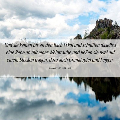 Picture 06 - Numeri 13:23 LUTH1912 - Und sie kamen bis an den Bach Eskol und schnitten - Bible Verse Picture
