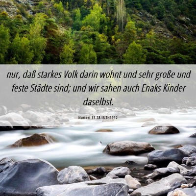 Picture 06 - Numeri 13:28 LUTH1912 - nur, daß starkes Volk darin wohnt und sehr - Bible Verse Picture