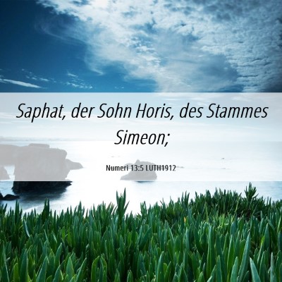 Picture 06 - Numeri 13:5 LUTH1912 - Saphat, der Sohn Horis, des Stammes - Bible Verse Picture