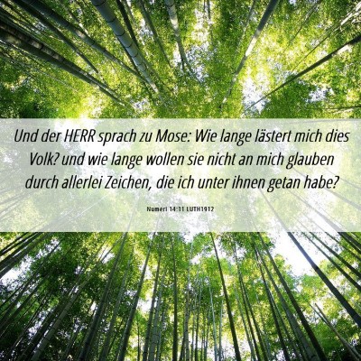 Picture 06 - Numeri 14:11 LUTH1912 - Und der HERR sprach zu Mose: Wie lange lästert - Bible Verse Picture