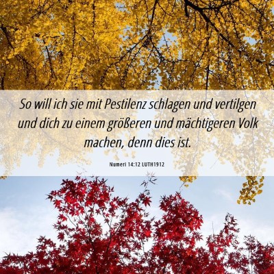 Picture 06 - Numeri 14:12 LUTH1912 - So will ich sie mit Pestilenz schlagen und - Bible Verse Picture