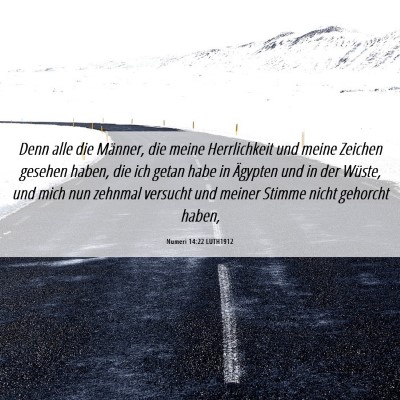 Picture 06 - Numeri 14:22 LUTH1912 - Denn alle die Männer, die meine Herrlichkeit und - Bible Verse Picture