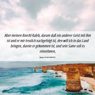 Picture 06 - Numeri 14:24 LUTH1912 - Aber meinen Knecht Kaleb, darum daß ein anderer - Bible Verse Picture