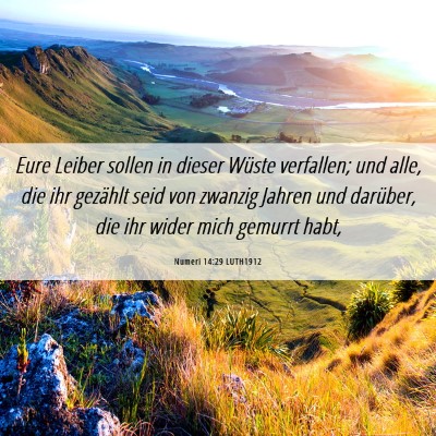 Picture 06 - Numeri 14:29 LUTH1912 - Eure Leiber sollen in dieser Wüste verfallen; - Bible Verse Picture