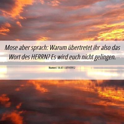 Picture 06 - Numeri 14:41 LUTH1912 - Mose aber sprach: Warum übertretet ihr also das - Bible Verse Picture