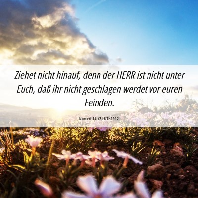 Picture 06 - Numeri 14:42 LUTH1912 - Ziehet nicht hinauf, denn der HERR ist nicht - Bible Verse Picture