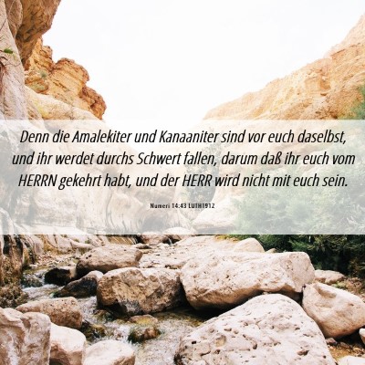 Picture 06 - Numeri 14:43 LUTH1912 - Denn die Amalekiter und Kanaaniter sind vor euch - Bible Verse Picture