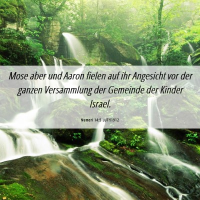 Picture 06 - Numeri 14:5 LUTH1912 - Mose aber und Aaron fielen auf ihr Angesicht vor - Bible Verse Picture