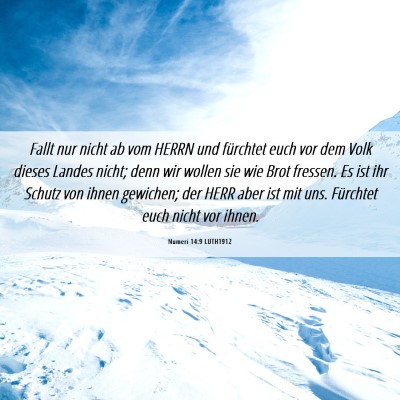 Picture 06 - Numeri 14:9 LUTH1912 - Fallt nur nicht ab vom HERRN und fürchtet euch - Bible Verse Picture