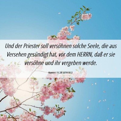 Picture 06 - Numeri 15:28 LUTH1912 - Und der Priester soll versöhnen solche Seele, - Bible Verse Picture