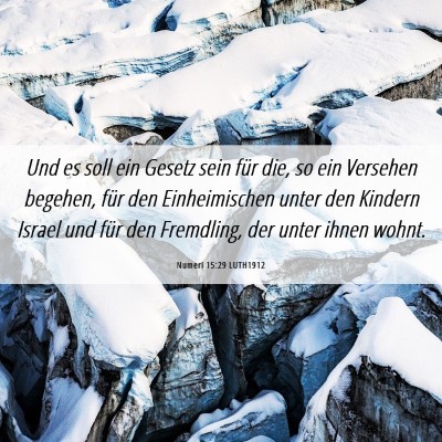 Picture 06 - Numeri 15:29 LUTH1912 - Und es soll ein Gesetz sein für die, so ein - Bible Verse Picture