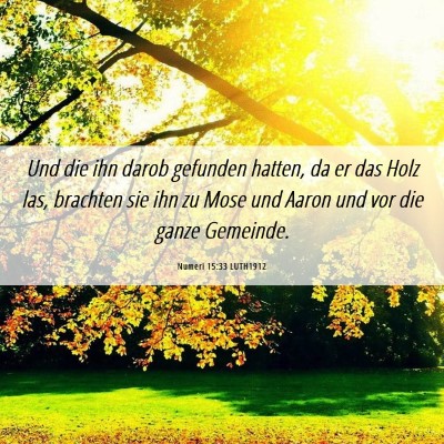 Picture 06 - Numeri 15:33 LUTH1912 - Und die ihn darob gefunden hatten, da er das Holz - Bible Verse Picture