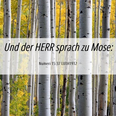 Picture 06 - Numeri 15:37 LUTH1912 - Und der HERR sprach zu - Bible Verse Picture