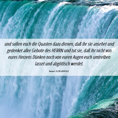 Picture 06 - Numeri 15:39 LUTH1912 - und sollen euch die Quasten dazu dienen, daß ihr - Bible Verse Picture