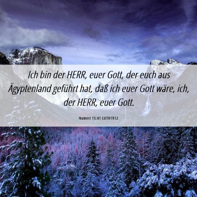 Picture 06 - Numeri 15:41 LUTH1912 - Ich bin der HERR, euer Gott, der euch aus - Bible Verse Picture