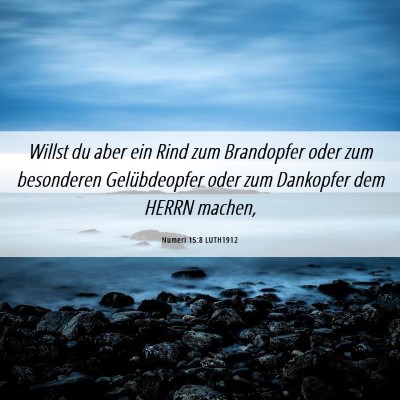 Picture 06 - Numeri 15:8 LUTH1912 - Willst du aber ein Rind zum Brandopfer oder zum - Bible Verse Picture