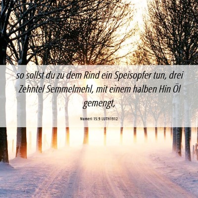 Picture 06 - Numeri 15:9 LUTH1912 - so sollst du zu dem Rind ein Speisopfer tun, drei - Bible Verse Picture