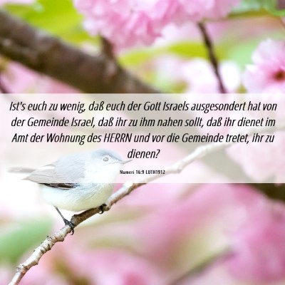 Picture 06 - Numeri 16:9 LUTH1912 - Ist's euch zu wenig, daß euch der Gott Israels - Bible Verse Picture