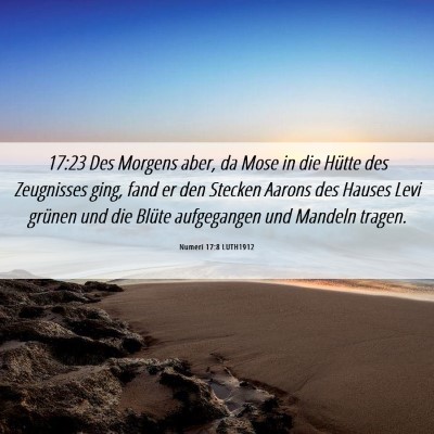 Picture 06 - Numeri 17:8 LUTH1912 - 17:23 Des Morgens aber, da Mose in die Hütte des - Bible Verse Picture