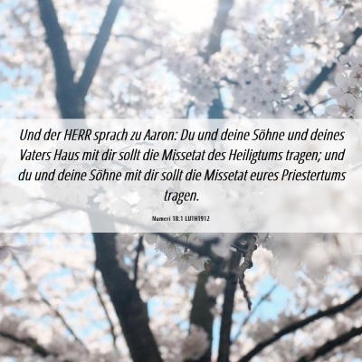 Picture 06 - Numeri 18:1 LUTH1912 - Und der HERR sprach zu Aaron: Du und deine Söhne - Bible Verse Picture