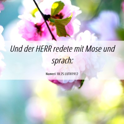 Picture 06 - Numeri 18:25 LUTH1912 - Und der HERR redete mit Mose und - Bible Verse Picture