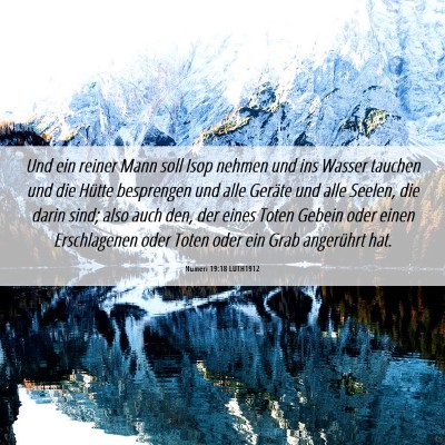 Picture 06 - Numeri 19:18 LUTH1912 - Und ein reiner Mann soll Isop nehmen und ins - Bible Verse Picture