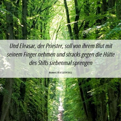 Picture 06 - Numeri 19:4 LUTH1912 - Und Eleasar, der Priester, soll von ihrem Blut - Bible Verse Picture